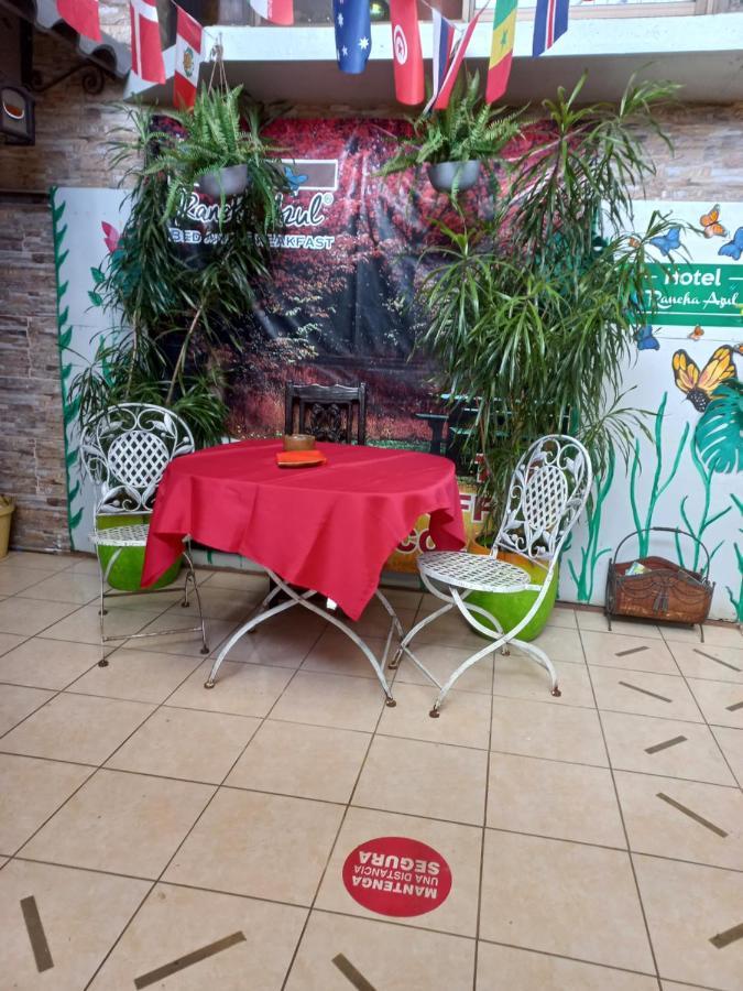 Rancha Azul Inn 阿拉胡埃拉 外观 照片