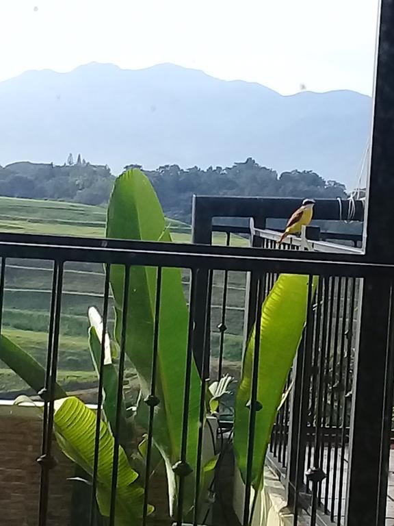 Rancha Azul Inn 阿拉胡埃拉 外观 照片