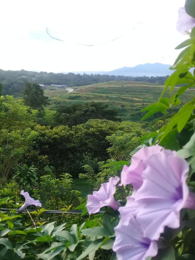 Rancha Azul Inn 阿拉胡埃拉 外观 照片